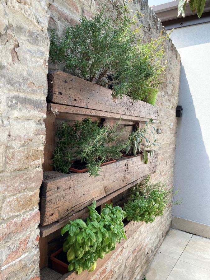 Al Ruderino Hotell Comacchio Exteriör bild